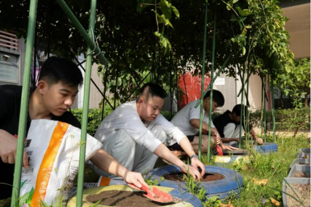 图片5