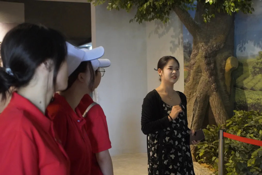 微信图片_20240717213739