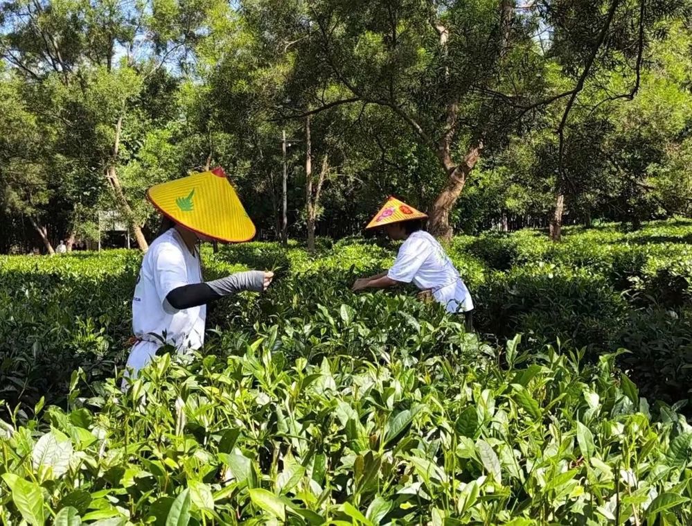 微信图片_20240718194313