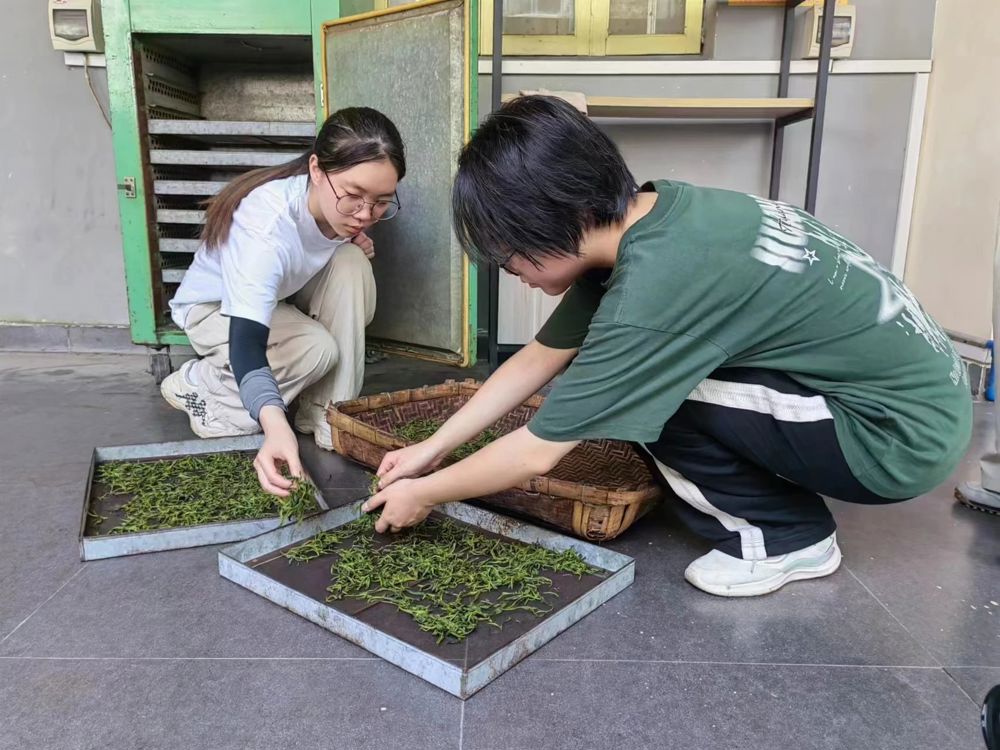 微信图片_20240718194735