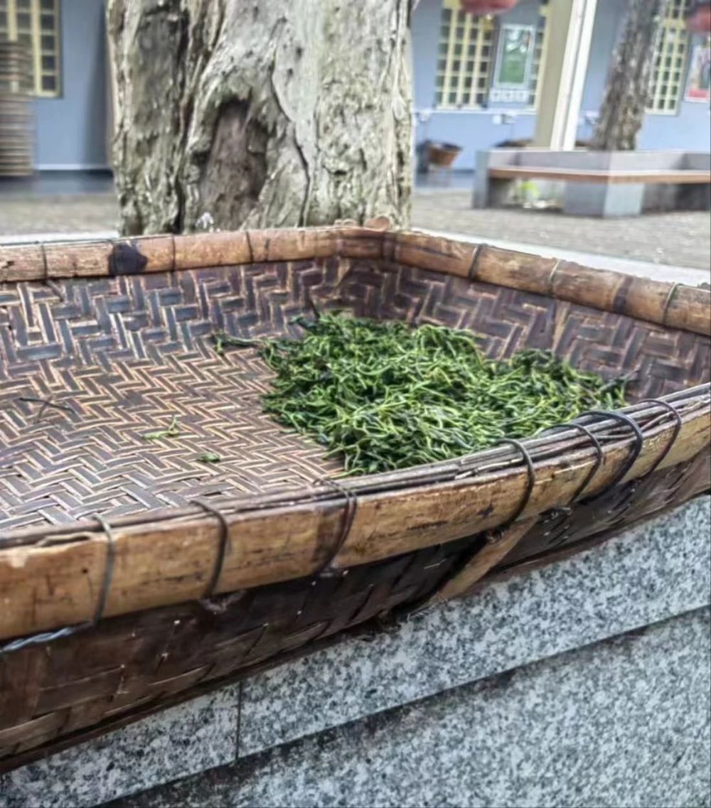 微信图片_20240718194603