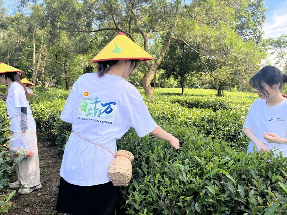 微信图片_20240718195100