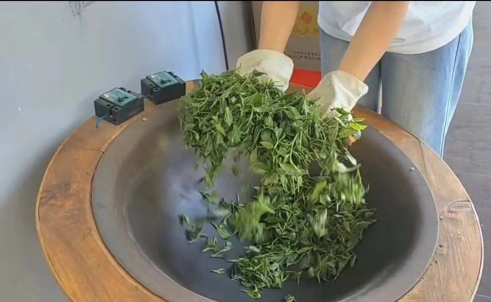 微信图片_20240718194432