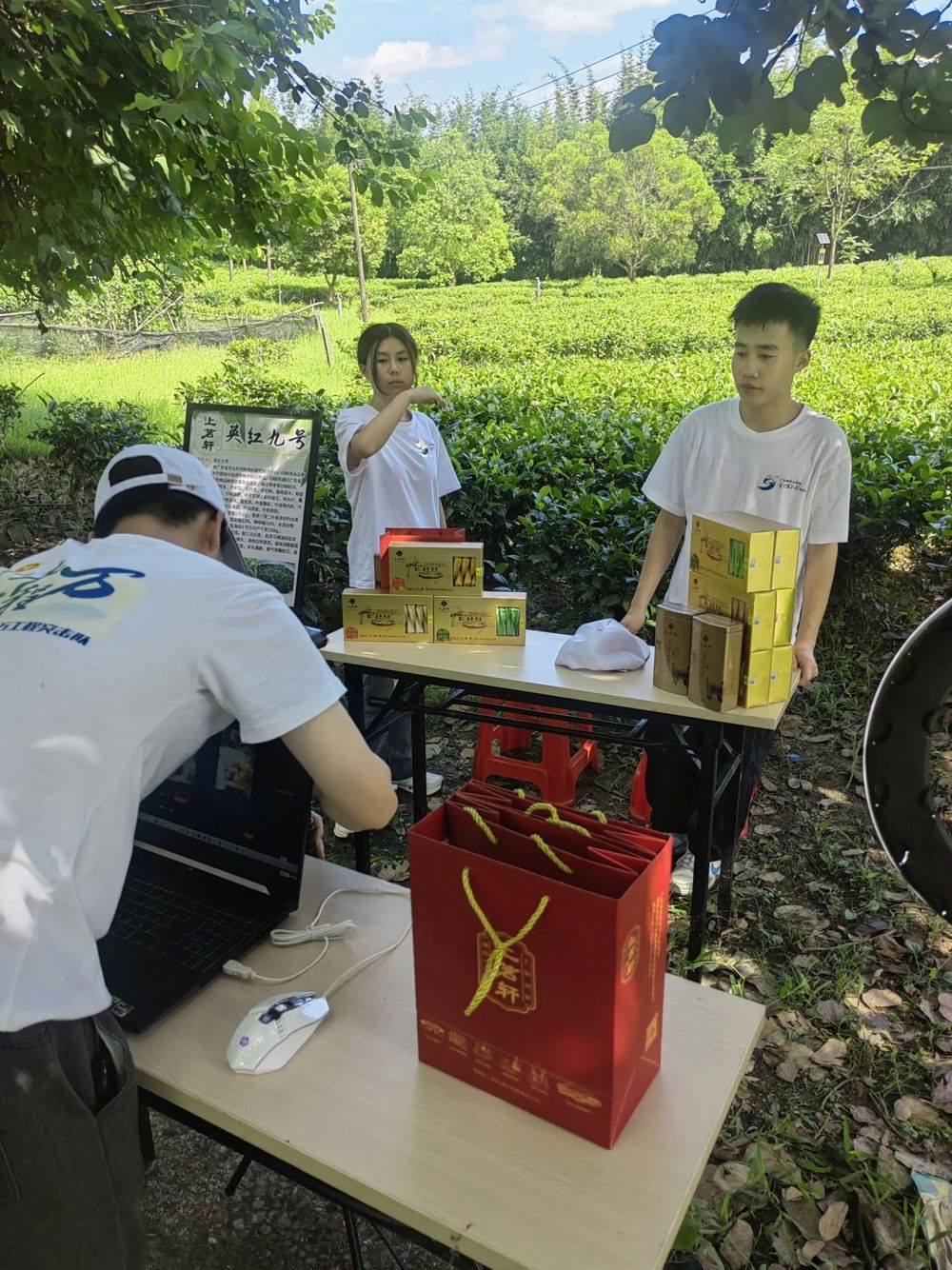 微信图片_20240719194540