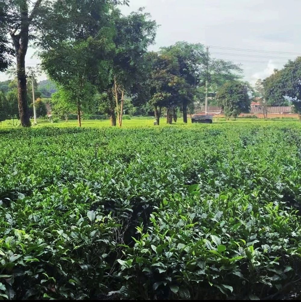 微信图片_20240719194505