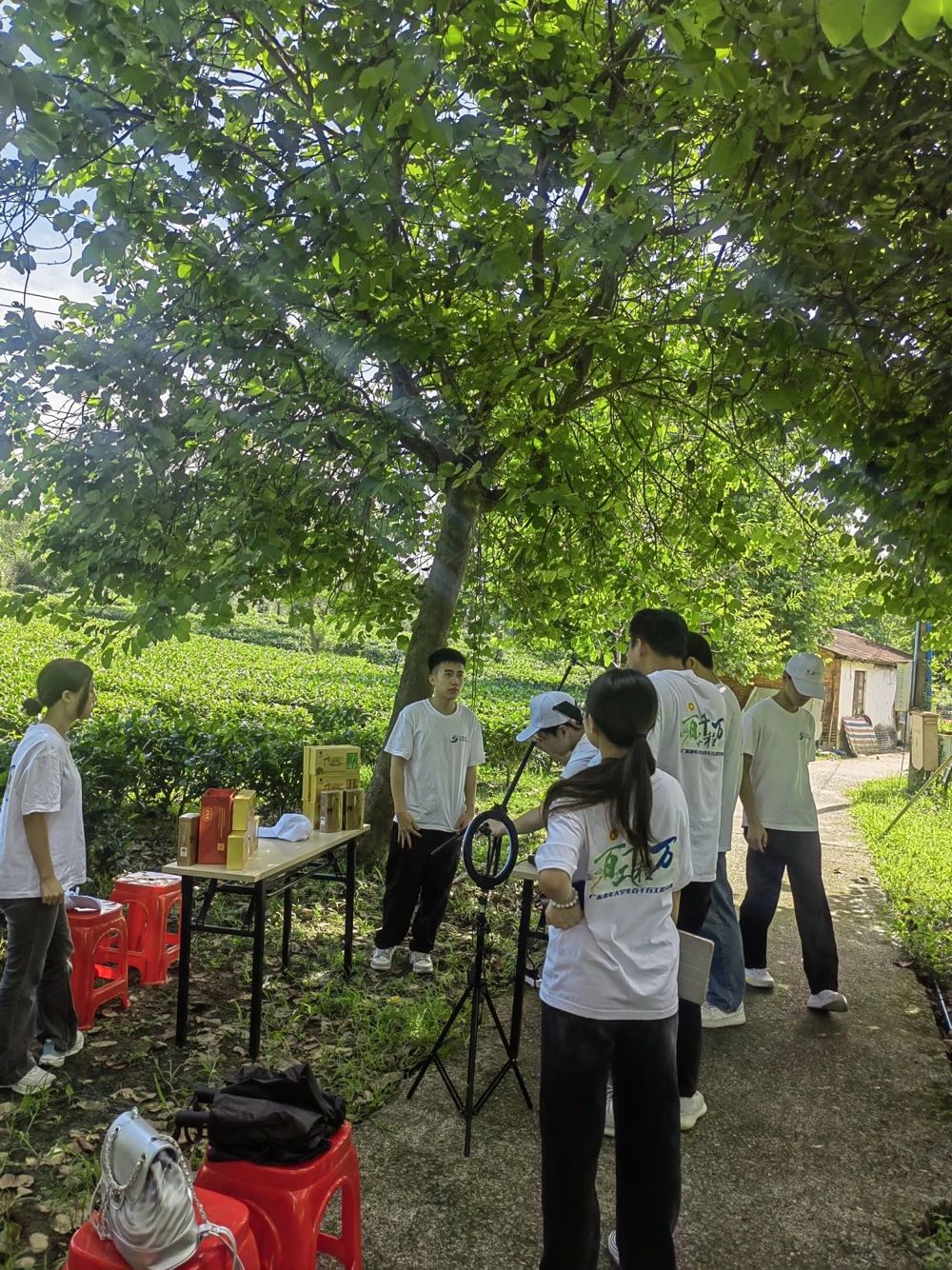 微信图片_20240719194532