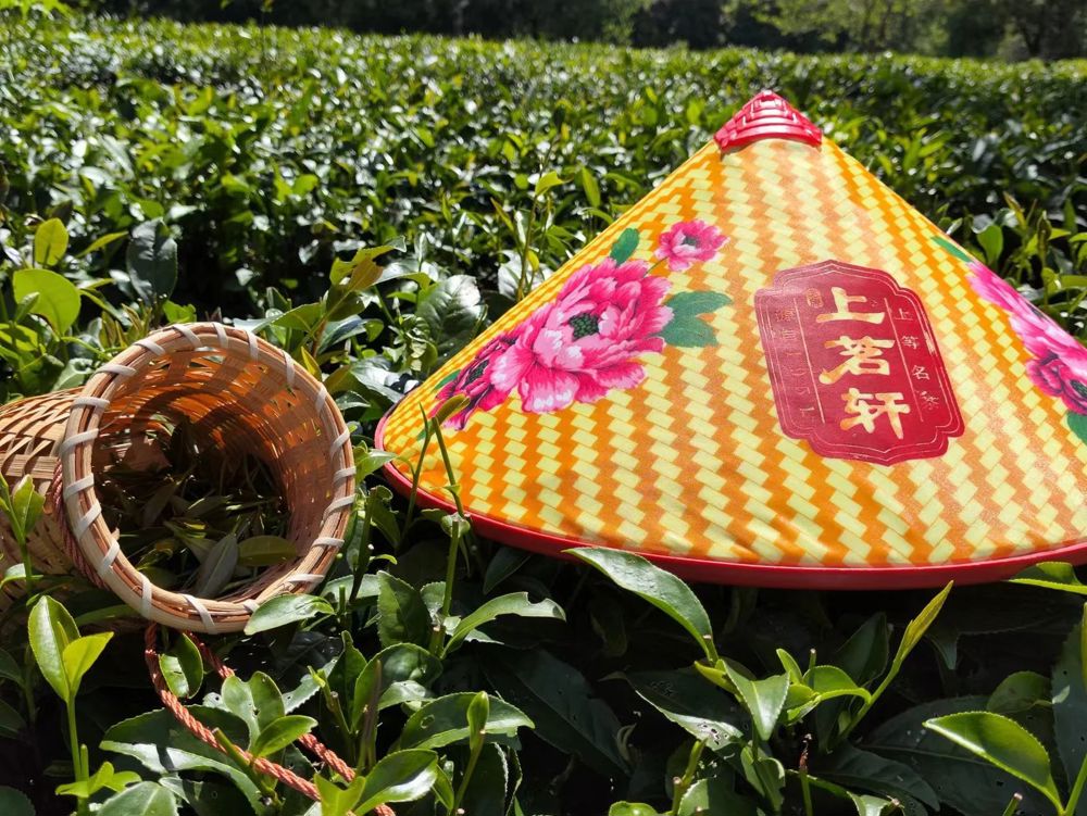 微信图片_20240719194559