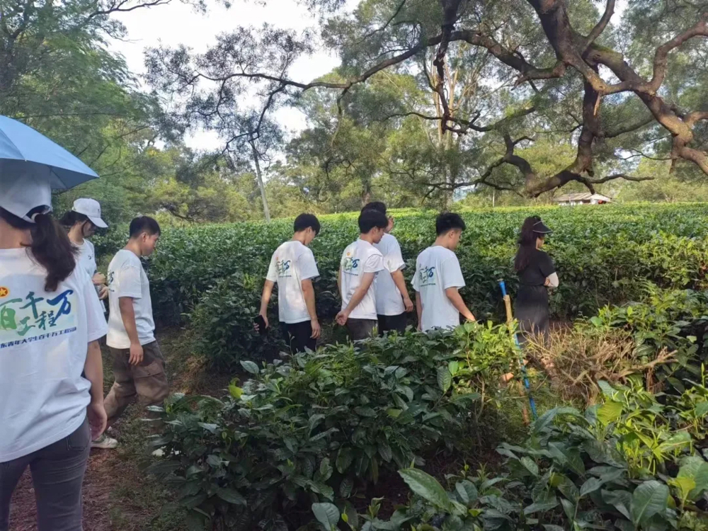 微信图片_20240719193903