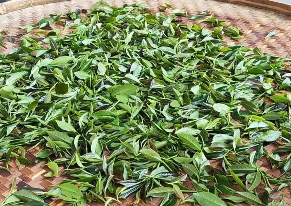 微信图片_20240719200417