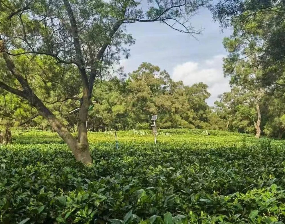 微信图片_20240719200405