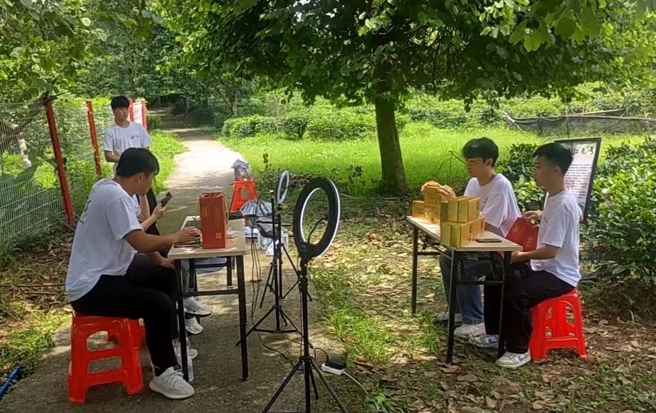 微信图片_20240719194554