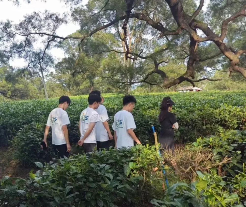 微信图片_20240722195742