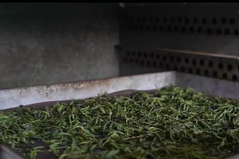 微信图片_20240722195303