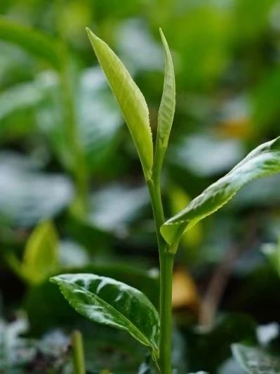 微信图片_20240722195245