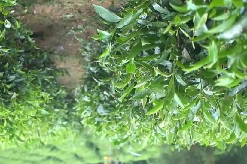 微信图片_20240722195310