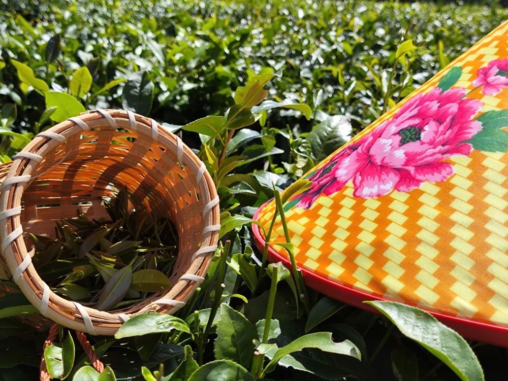 微信图片_20240723165345