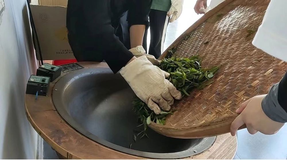 微信图片_20240723165020