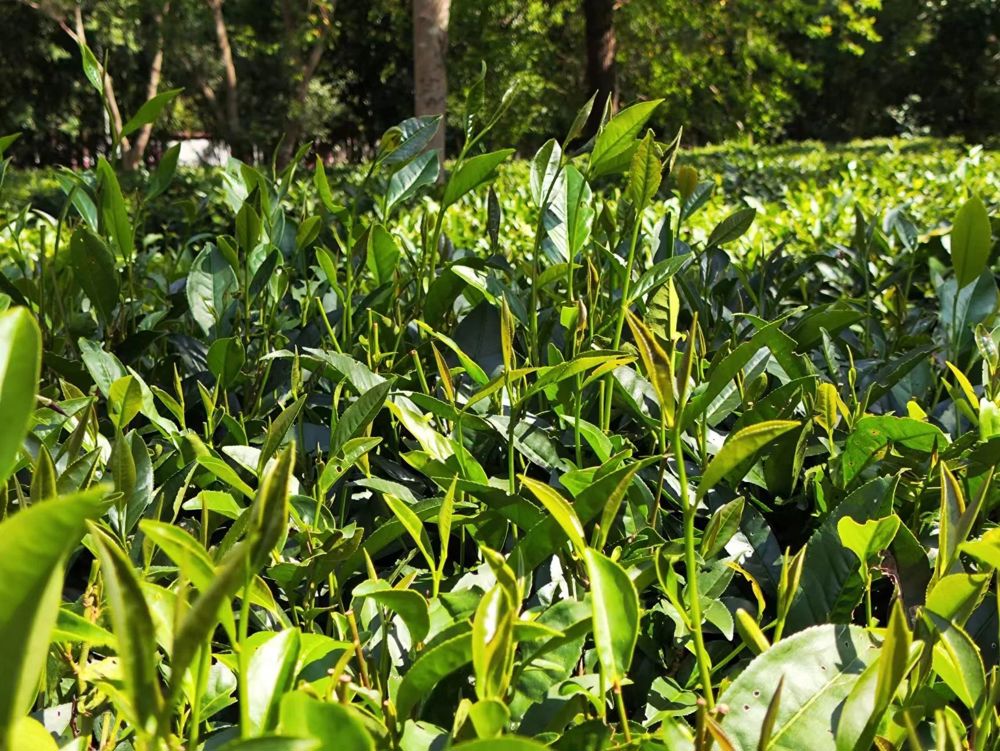 微信图片_20240723165025