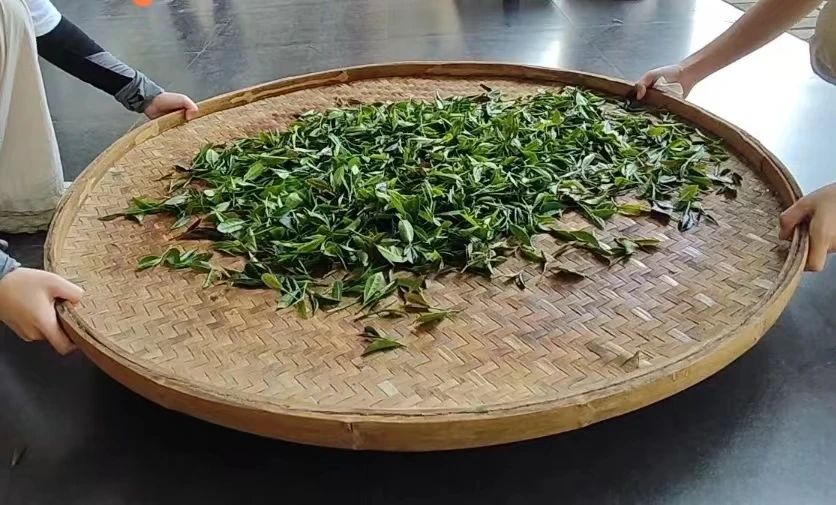 微信图片_20240724183119