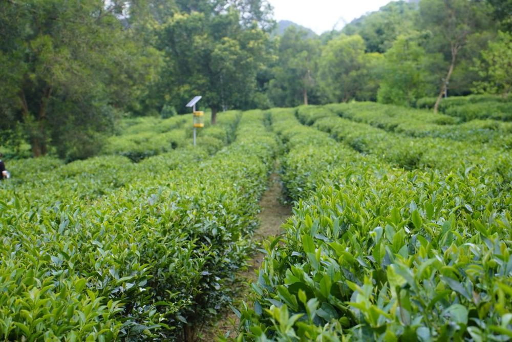 微信图片_20240725203729