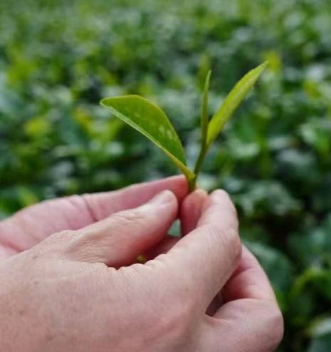 微信图片_20240725205047