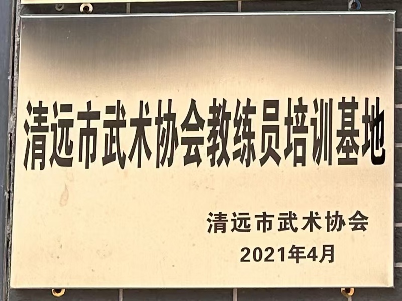 清远市武术协会教练员培训基地2021年4月_wps图片