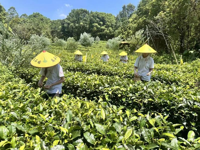 微信图片_2026-07-20_211354_129