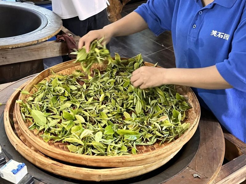 微信图片_2026-07-20_211406_848