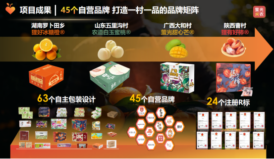 图3 “萤光兴农”品牌矩阵