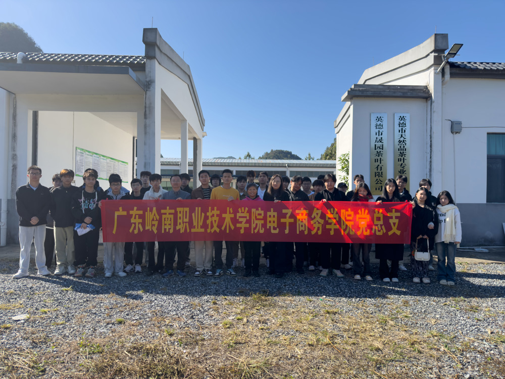 电子商务学院党总支
