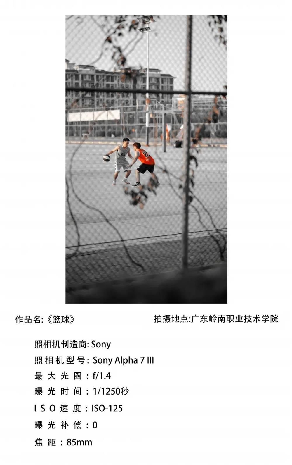 3e2331c40e424fc9a70de7c4e02070fc.jpg