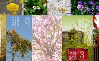 打卡岭南丨“销冠奶茶”“岭南第一炸串”...这才是别人口中的饭堂！