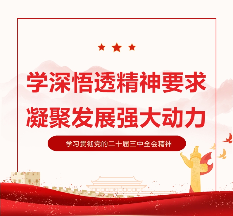 学深悟透精神要求