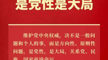 维护党中央权威是党性是大局