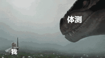 规矩立住，体测才能不烧心！