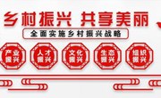 党建丨党建引领“5+3”学生团队返乡创业 点燃乡村振兴“红色引擎”