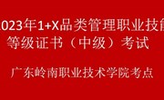 国际经贸学院“1+X”品类管理职业技能等级证书（中级）考试顺利举行 