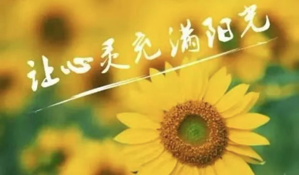d26d0c6c92864d39bf71c91f2367ee7d.png