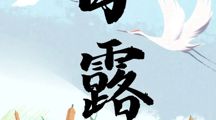 今日处暑 | 白露暧秋色，月明清漏中