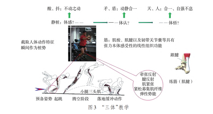 39107b1449c547ebaf4f7480dd2f82a8.png