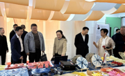 草木莘莘 伊染风华丨2025尹春洁教授手染国色文创作品展在佛冈举行
