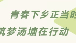 百千万工程 | 青春下乡正当时，筑梦汤塘在行动！