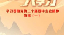青年大学习丨学习贯彻党的二十届四中全会精神特辑（一）