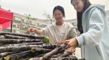 我为同学做实事丨清甜甘蔗暖校园，助农行动显担当