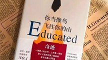 书籍推荐 | 《你当像鸟飞往你的山》