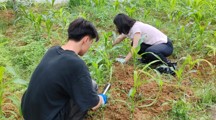 “一站式” 学生社区丨盛夏丰收践劳育，至善师生采摘瓜蔬