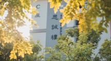 久等了，无比期待的暑假它来啦！