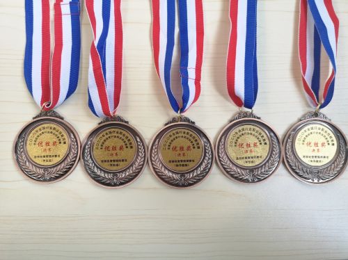 学生和指导教师的奖牌