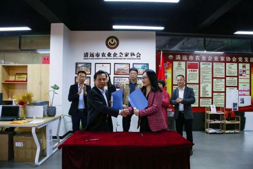 ecd1b35f288d6fa03a7c720253c7733