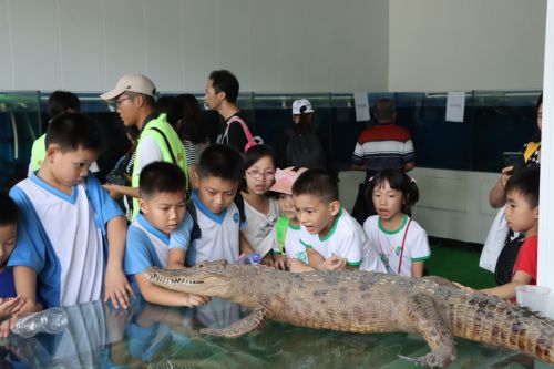 参观鱼类标本馆